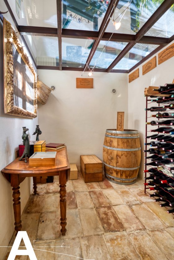 buy-sell-real-estate-restored-wine-grower-cellar-near-aigues-mortes-les-archineurs-immobilier-insolite