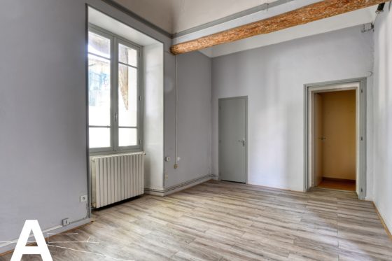 achat-vente-appartement-avec-extérieur-jardinet-à-rénove-nimes-gard-les-archineurs-immobilier-insolite