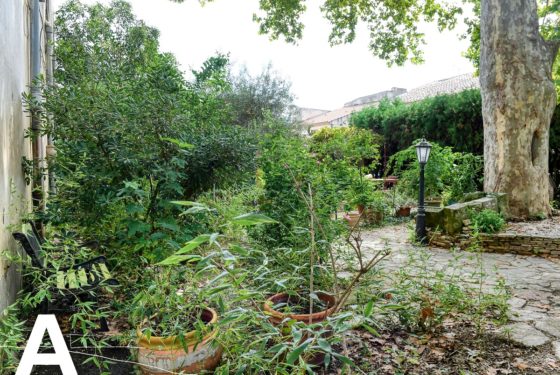 achat-vente-appartement-avec-extérieur-jardinet-à-rénove-nimes-gard-les-archineurs-immobilier-insolite