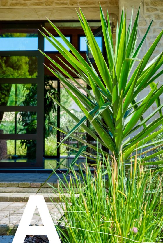 maison-en-bois-avant-gardiste-proche-de-sommieres-immobilier-insolite-les-archineurs